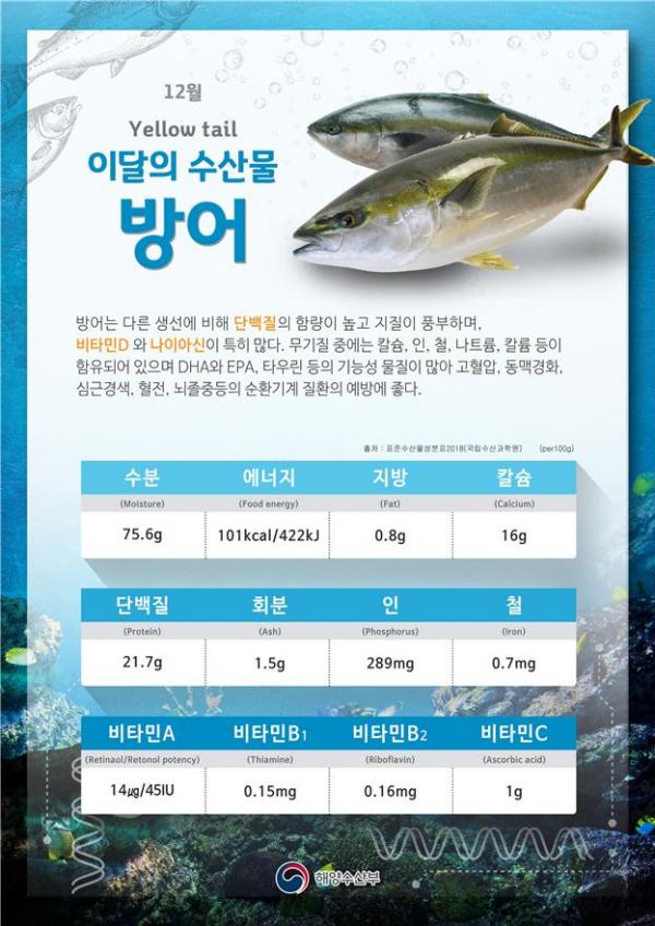 수산물 성분분석 정보