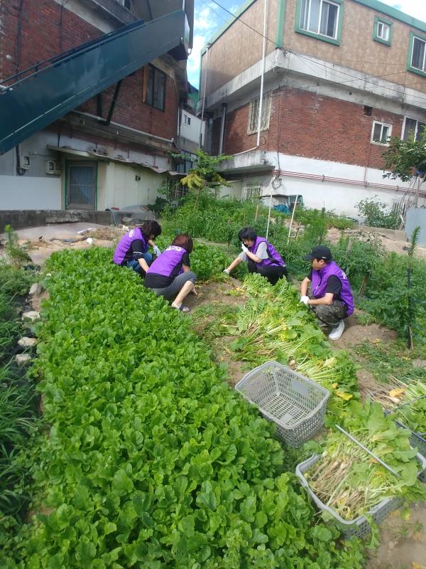 하남 신장1동 지역사회보장협의체 저소득 취약계층 “제철 열무김치” 지원
