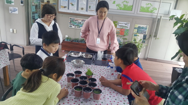 보리 새싹 키우기 수업 장면