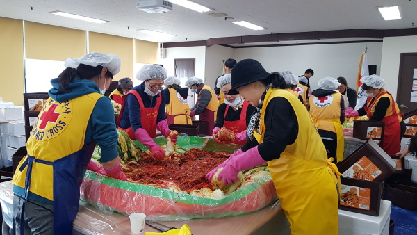 김장 김치를 담그는 적십자봉사원