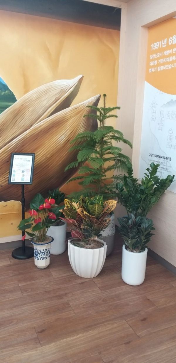 고양시, 폐화분으로 다중이용시설에 작은 그린 인테리어 조성하다