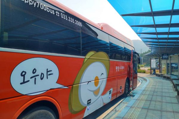 KTX 연계 평창시티투어, 평창관광택시 상품 잇달아 출시