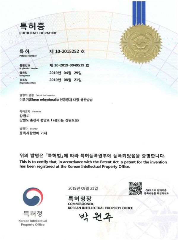 특허증(미유기 인공종자 대량 생산방법)