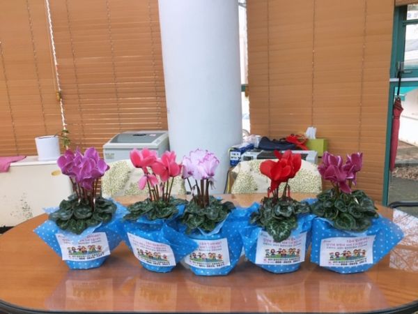 생연1동, 홀몸어르신을 위한 희망의 반려식물 나눔