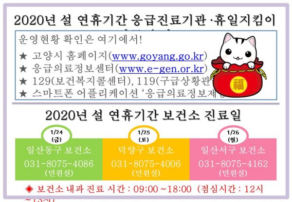 설 연휴 응급진료대책 마련