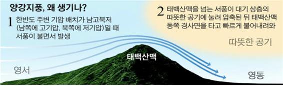 양간지풍 도시산불 빅데이터로 잡는다