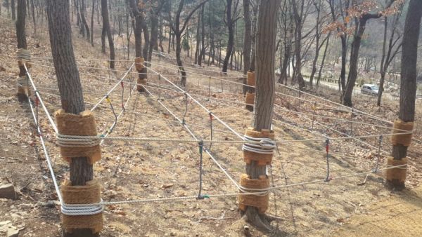 파주시, 유아숲체험원 활성화 추진