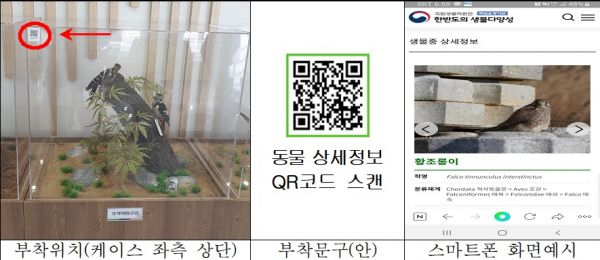 하남, 유니온타워 박제품 야생동물 정보 QR코드로 확인하세요