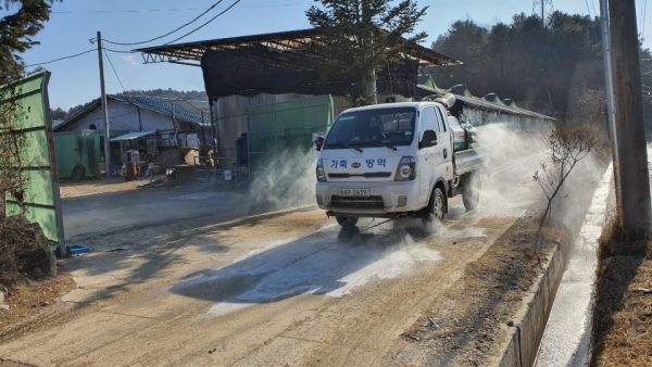 홍천군은 가축 아프리카돼지열병·AI·구제역 등 가축전염병 차단을 위한 일제 소독 및 홍보활동에 총력을 기울이고 있다고 전했다.