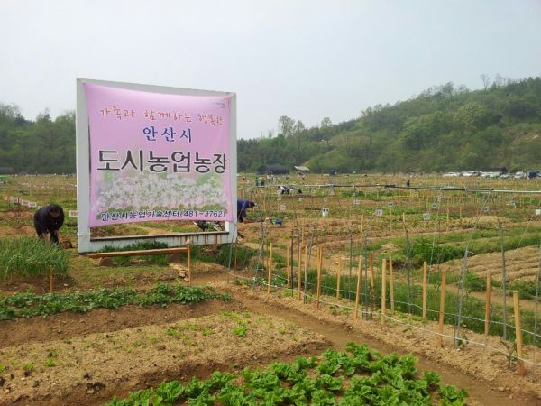 안산시, 주말농장 분양 신청 안내