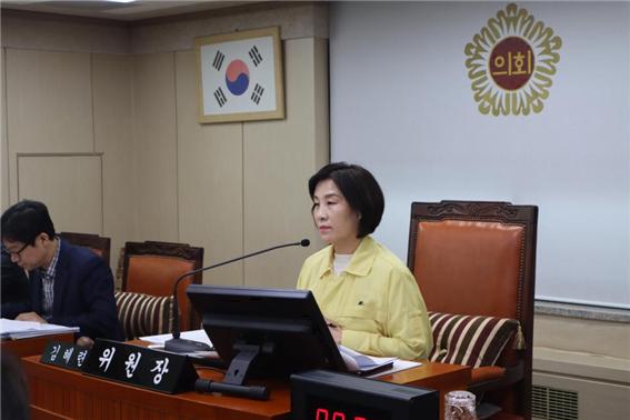 서울시의회 보건복지위원회 김혜련 위원장