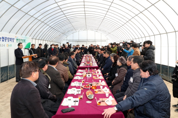 홍천군 겨울 딸기농장 활력을 찾다