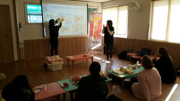 2020년 산전?산후 관리 서비스 운영