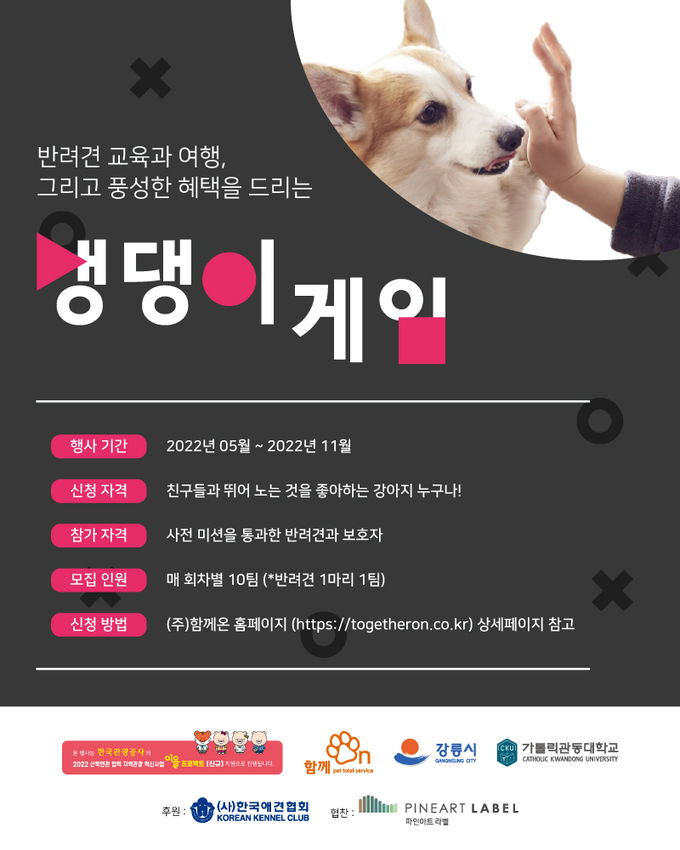 댕댕이 교감게임 포스터
