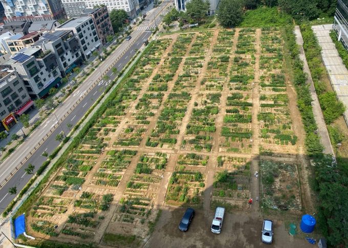 갈매동 도시텃밭