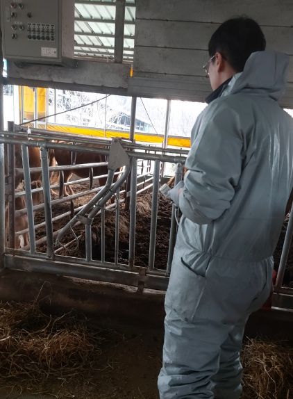 안성시, 2025년 하반기 구제역 백신 일제접종 실시