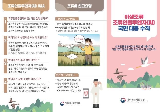 야생조류 조류인플루엔자 인체감염 대응 수칙