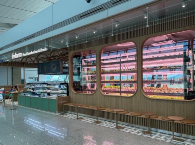 인천공항 T1 면세구역 내 입점 수직농장