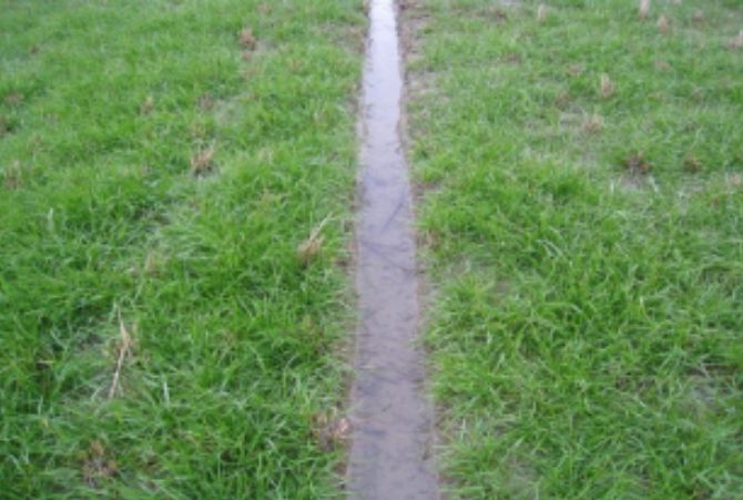 배수로가 정비된 재배지