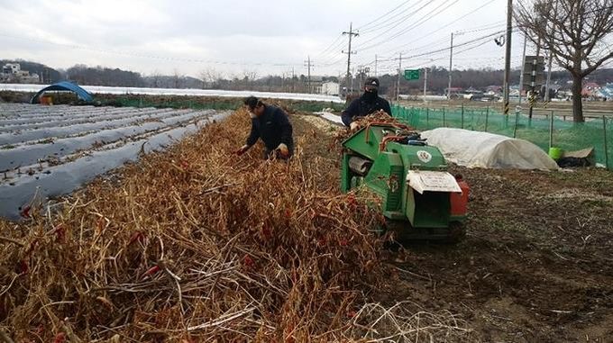 파주시,“영농 부산물 태우지 말고 파쇄하세요!”