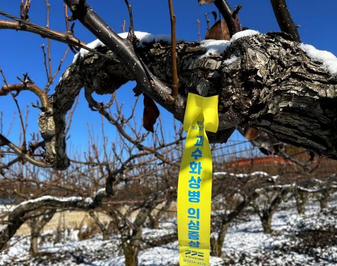 과수화상병 확산 방지