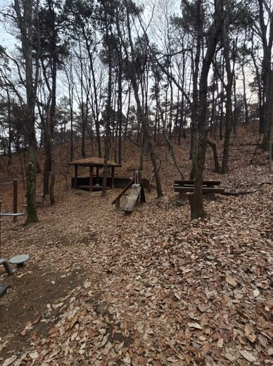 시설이 노후화된 수지구 광교산 숲길 전경