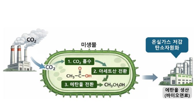 생물학적 탄소 포집 및 활용에 의한 CO2 전환 모식도, 출처; AI 이미지 생성