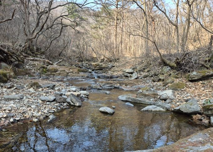 남양주시, 천마산 시립공원 내 불법행위 근절 특별정비 추진