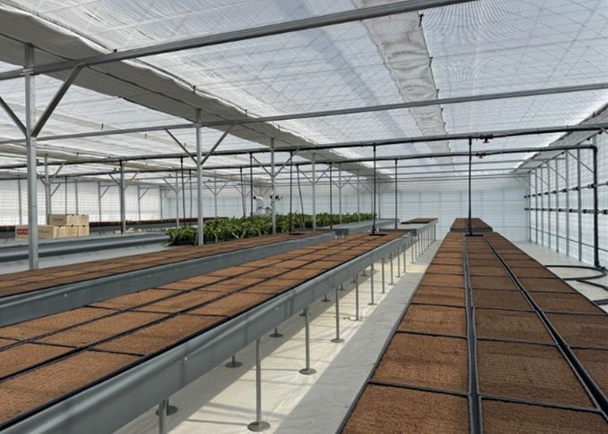 고양시, 고품질 선인장 육성 목적 ‘접목선인장 무병종묘장’ 조성